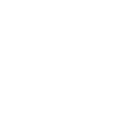 No training on your data